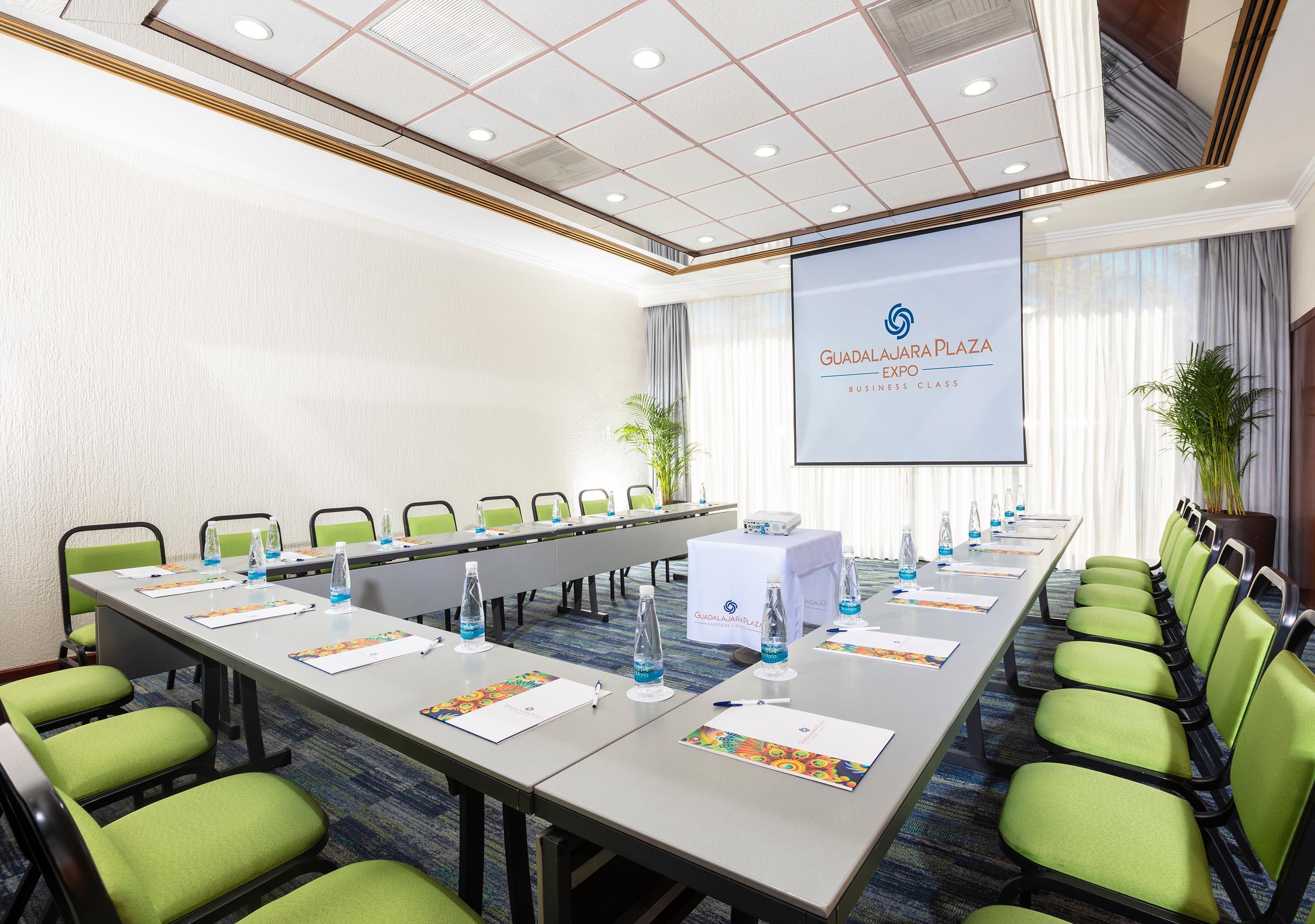 Hotel Guadalajara Plaza Expo מראה חיצוני תמונה